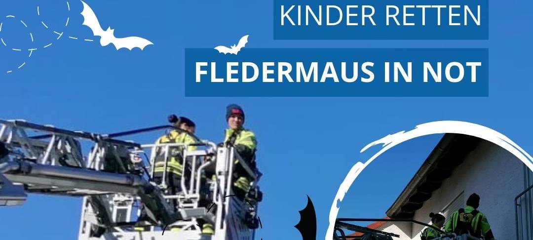 Kinder retten Fledermaus in Altena