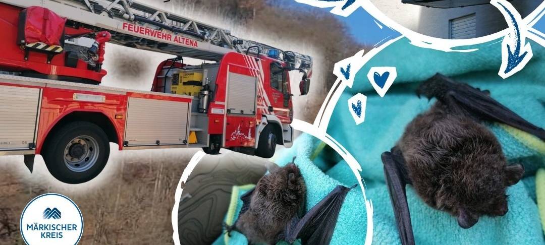 Kinder retten Fledermaus in Altena