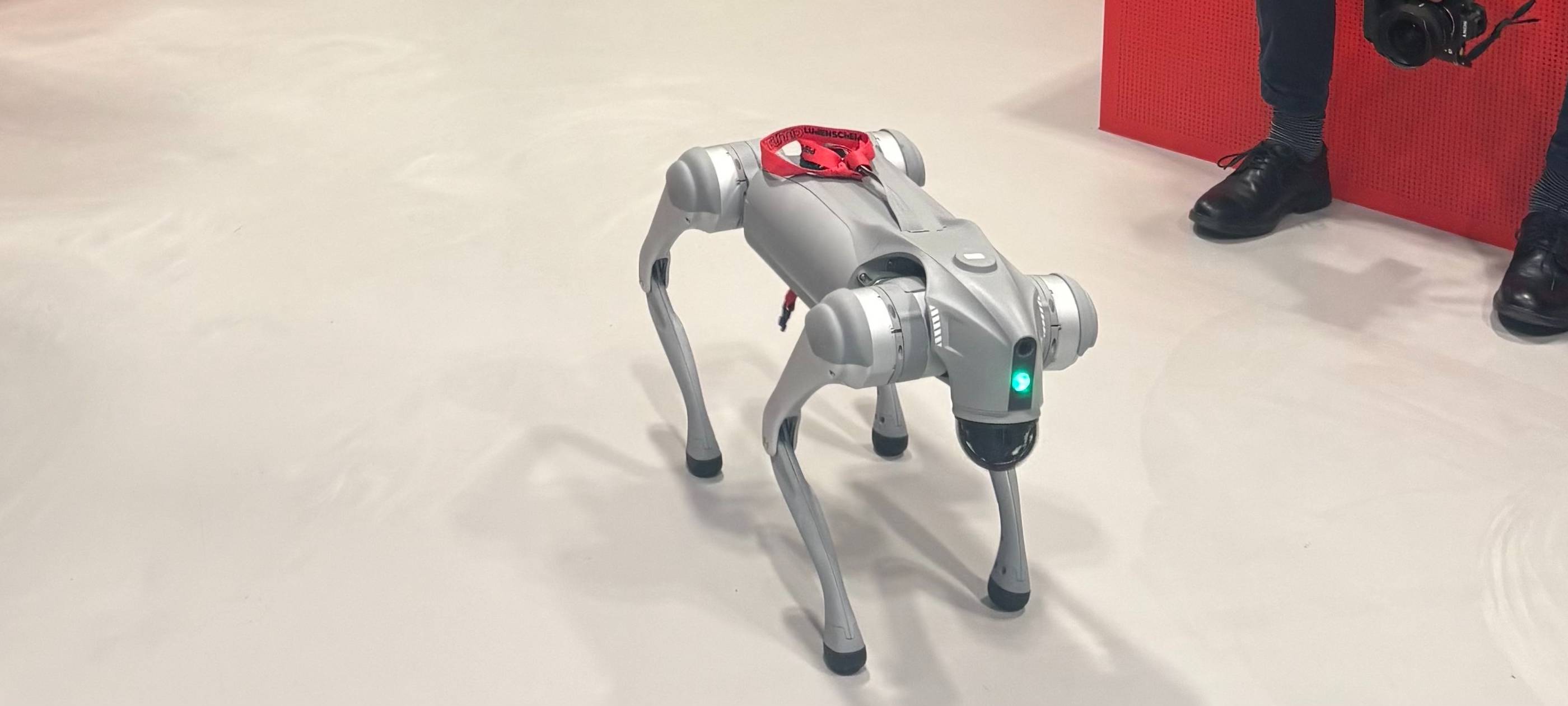 Hightech auf vier Pfoten: Roboterhund in Lüdenscheid