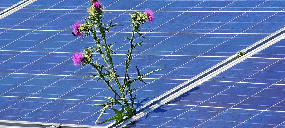 Solaranlagen im Märkischen Kreis auf dem Vormarsch