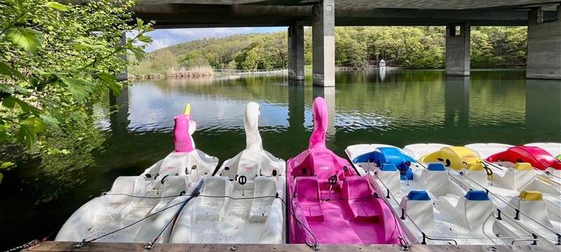 Neuer Tretbootverleih am Seilersee Iserlohn