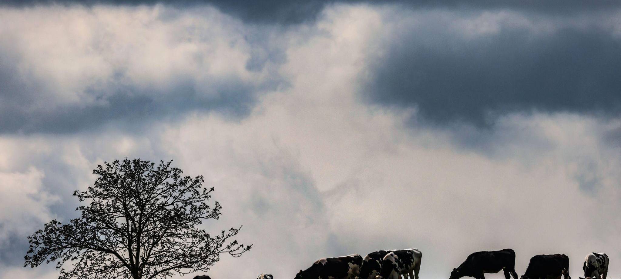 Wetter in der Eifel