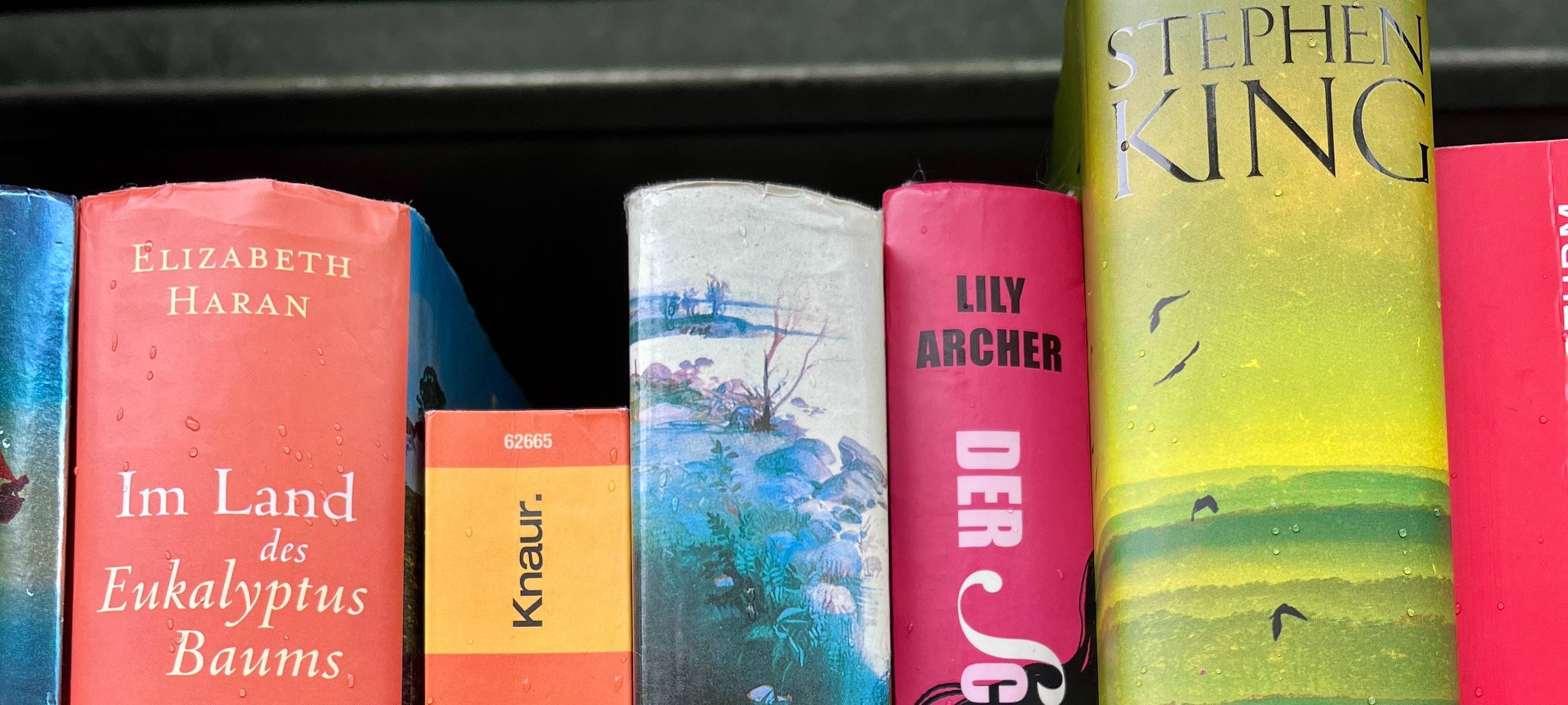 Büchertausch im Bücherschrank