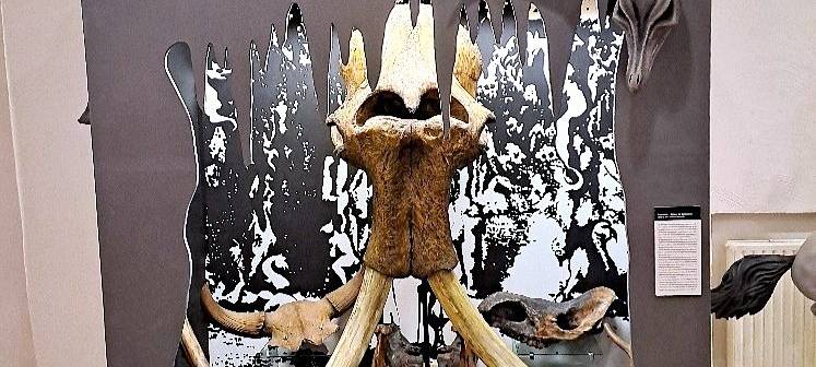 20 Jahre Höhlenmuseum an der Dechenhöhle