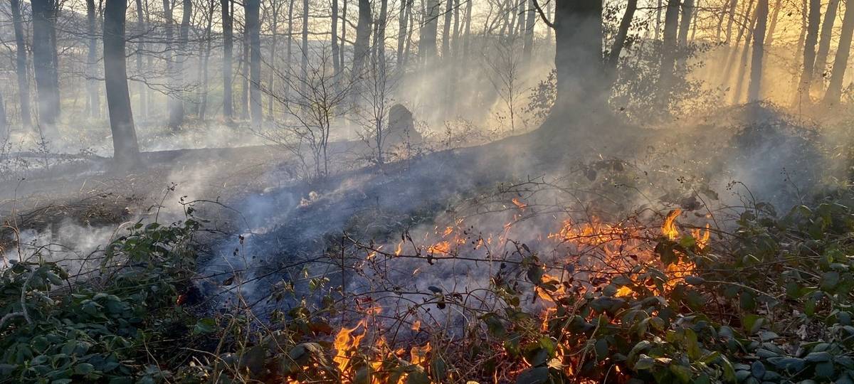Großer Waldbrand bei Iserlohn-Letmathe