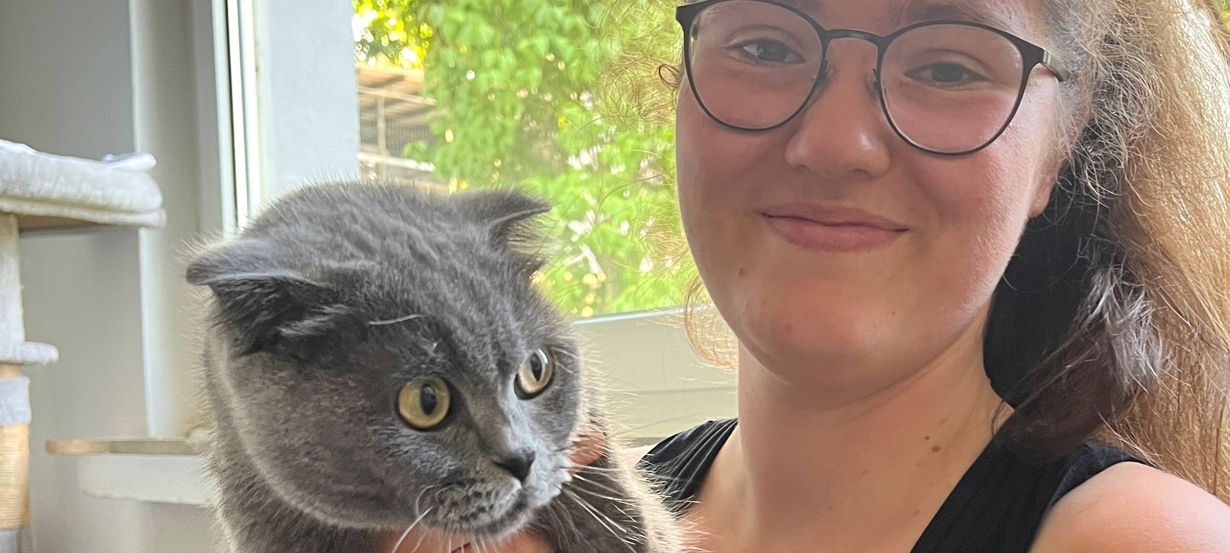 Tierheim Dornbusch sucht dringend Katzenfreunde