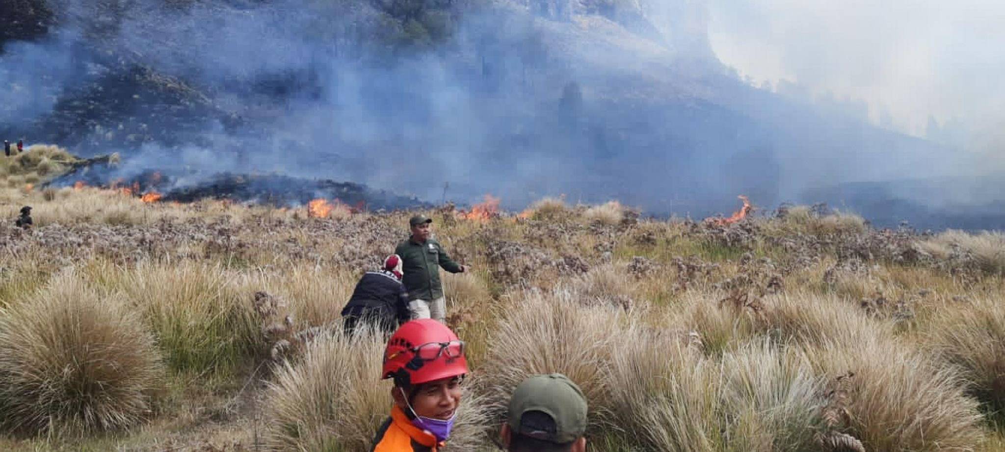Waldbrände in Indonesien
