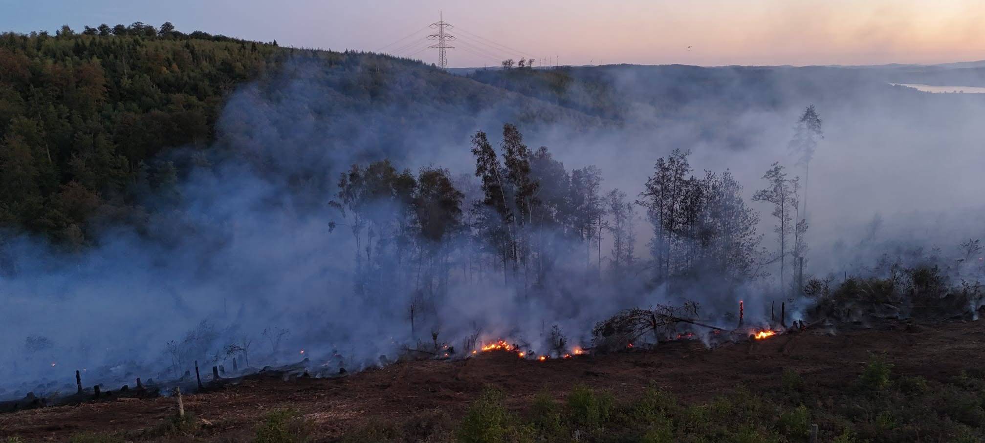 Ursache nach Waldbrand am Sorpesee noch unklar