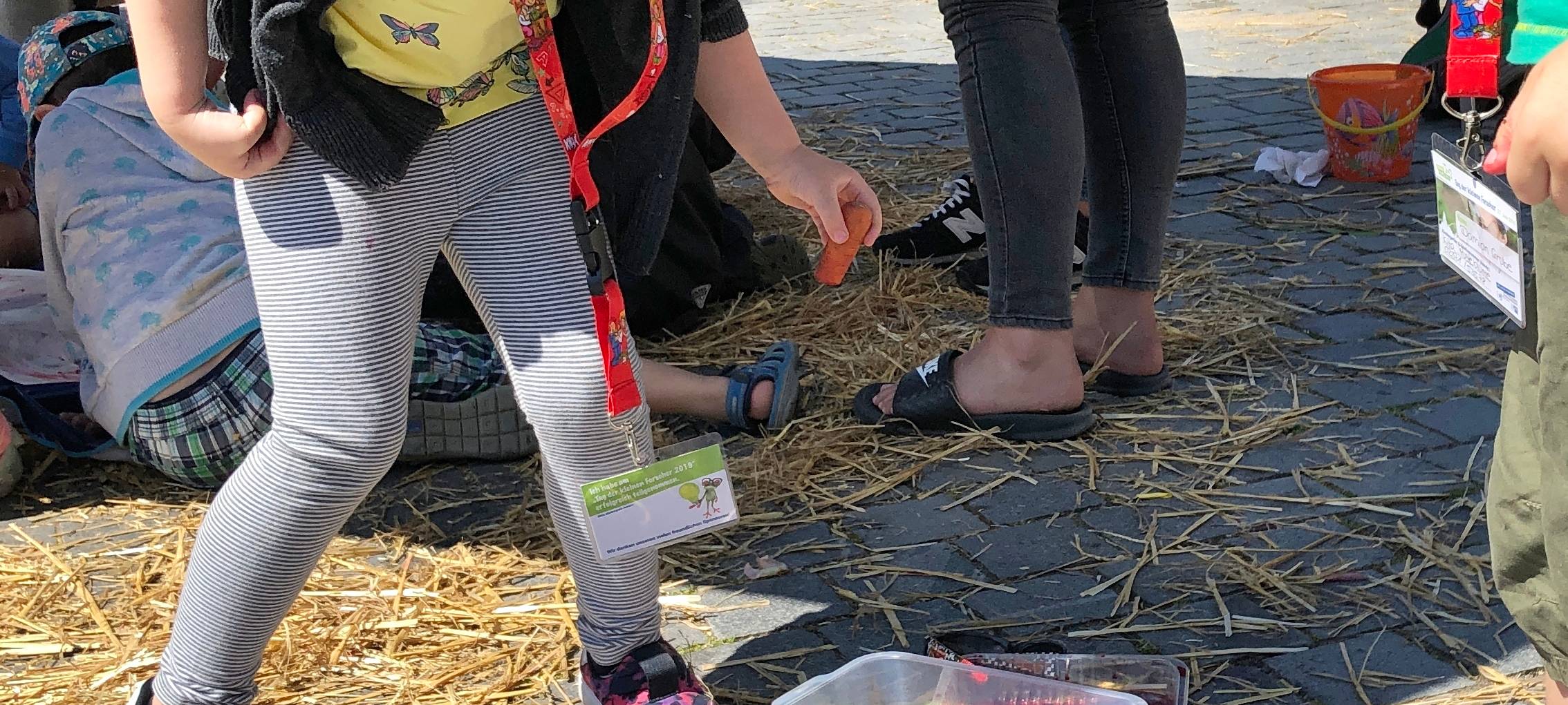 Schildi Sheldon hat Müll im Bauch