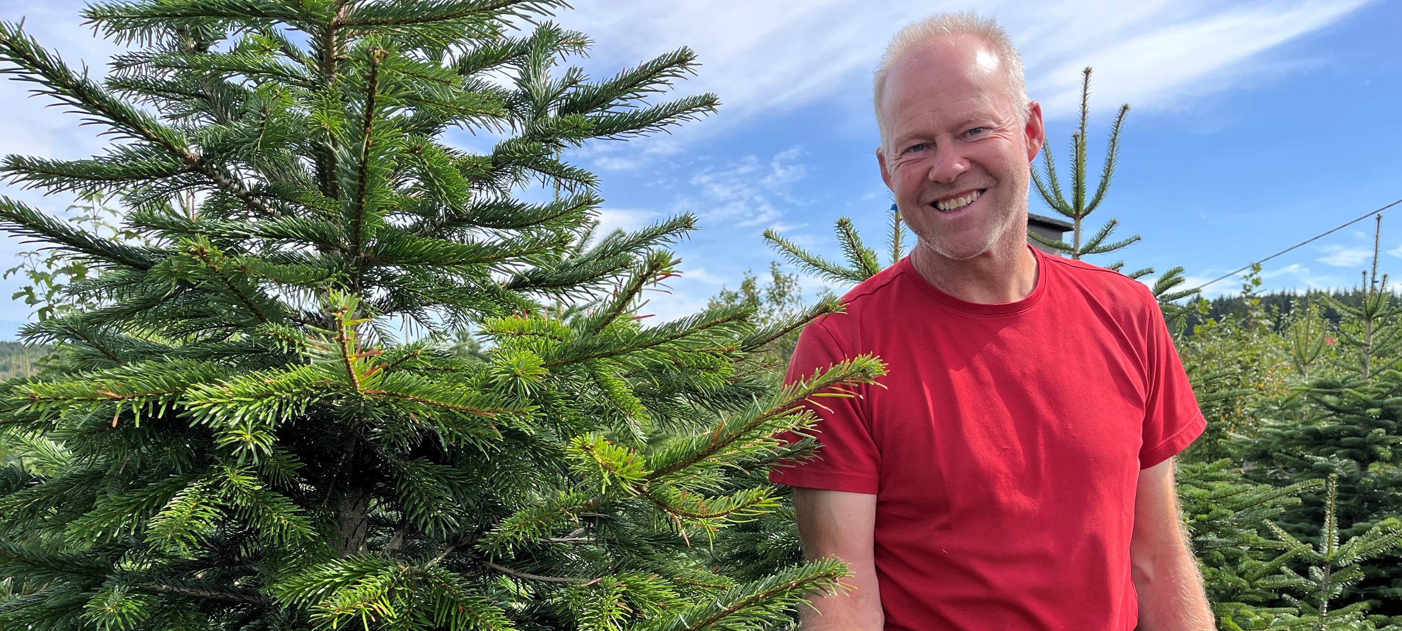 Weihnachtsbäume im MK trotzen dem heißen Sommer
