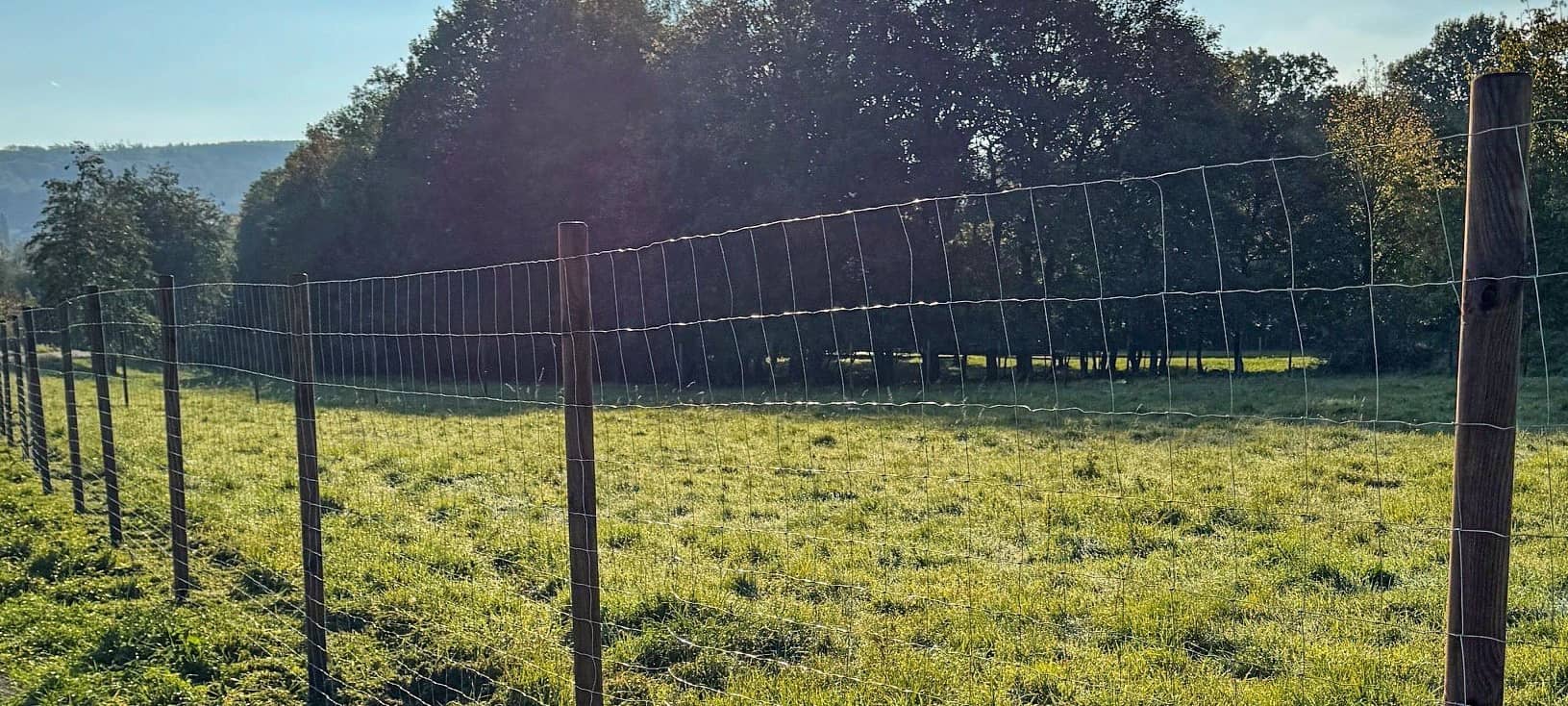 Neuer Hundegarten in Hemer-Deilinghofen kommt