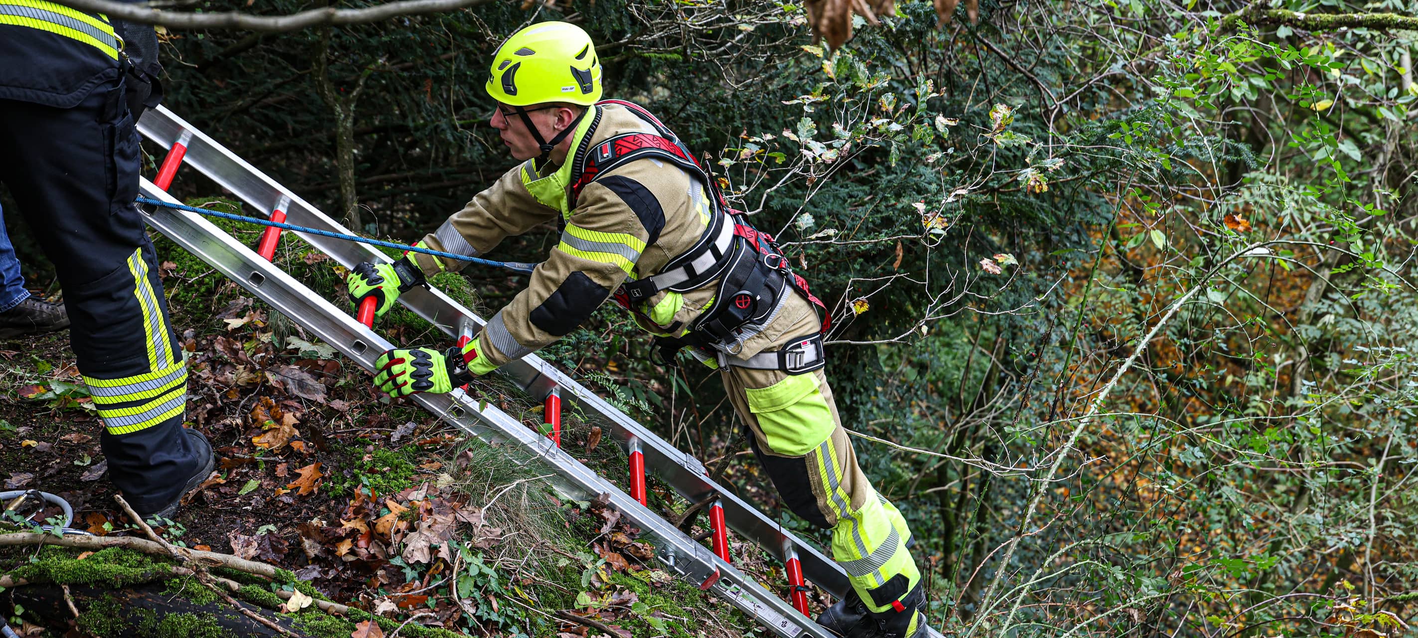 Feuerwehr rettet Hündin im Iserlohner Stadtwald
