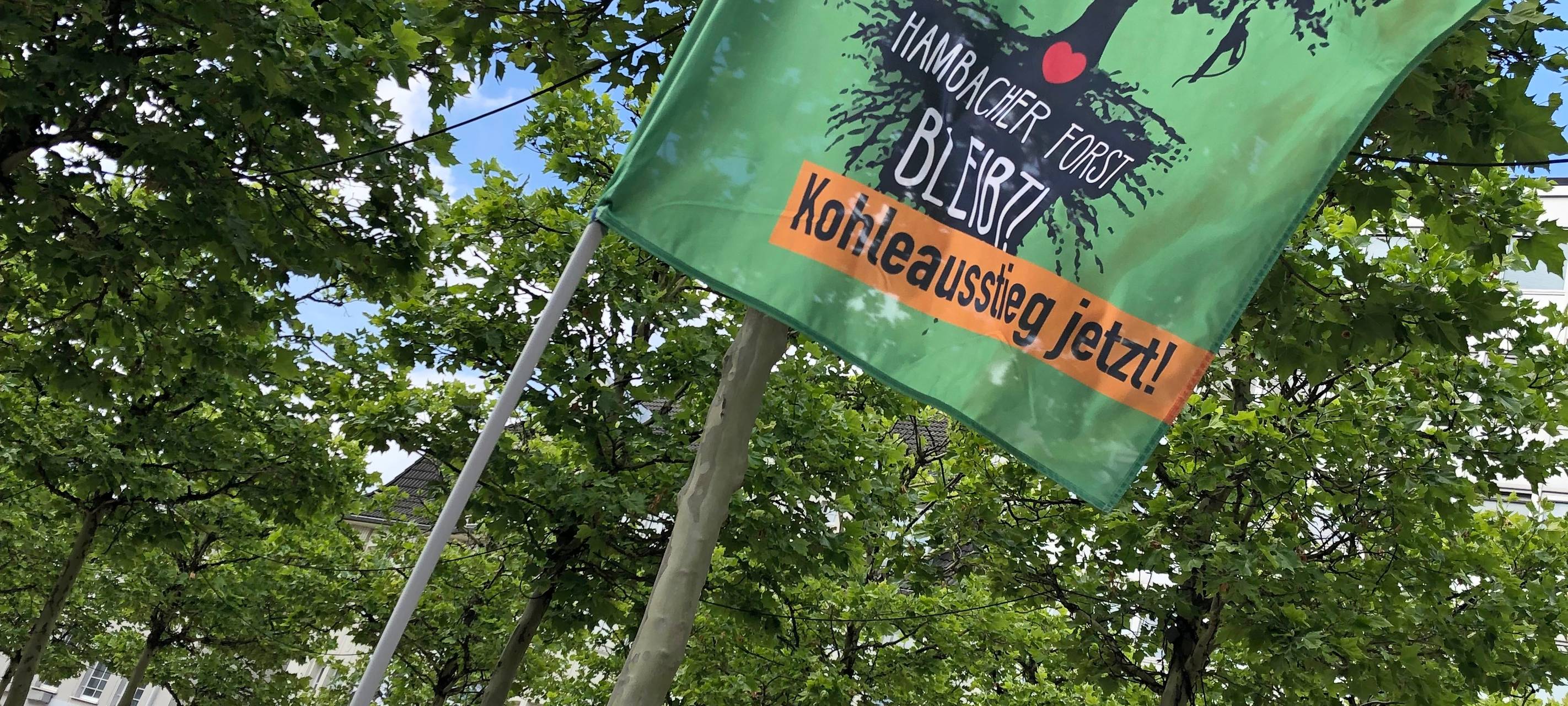 "Fridays for Future" in Lüdenscheid