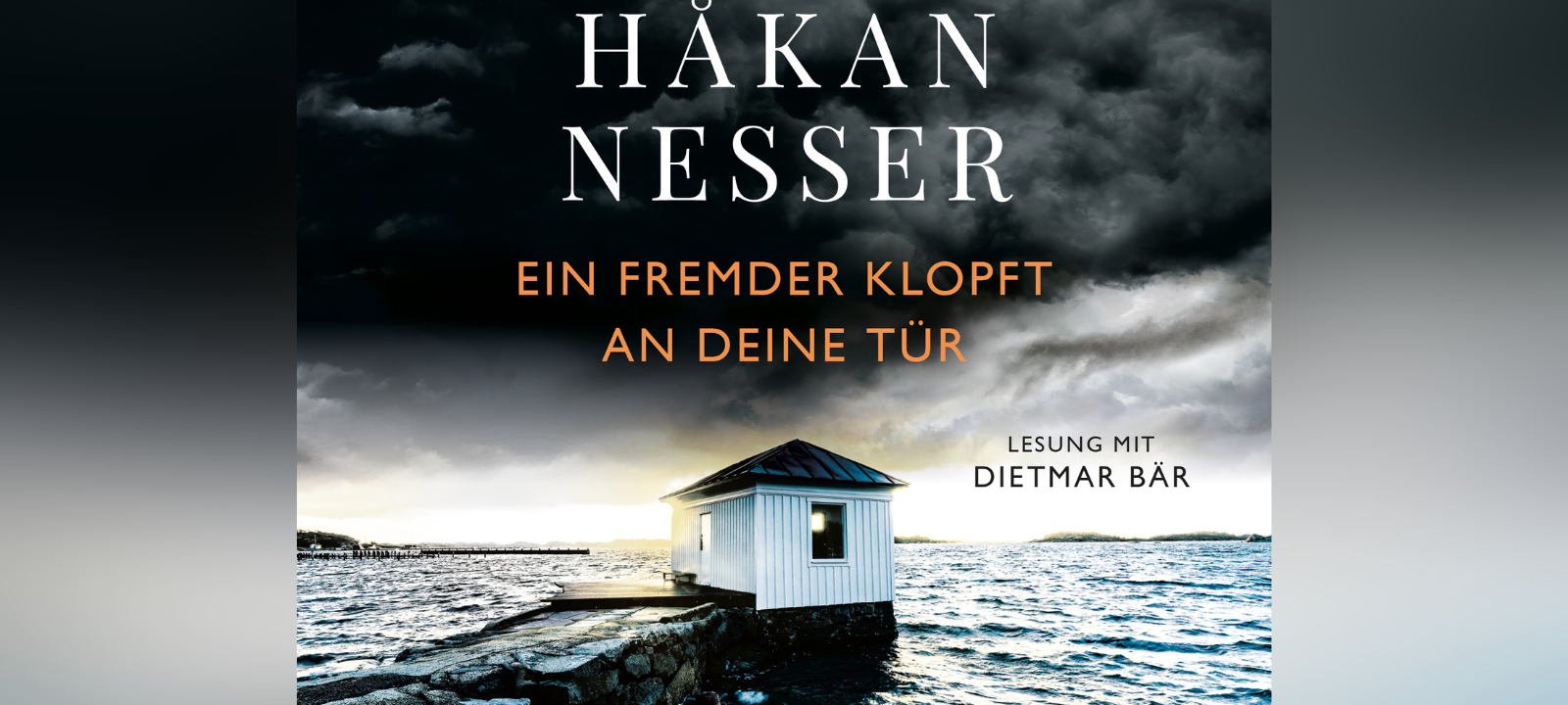 Buchcover: Ein Fremder klopft an Deine Tür - Hakan Nesser