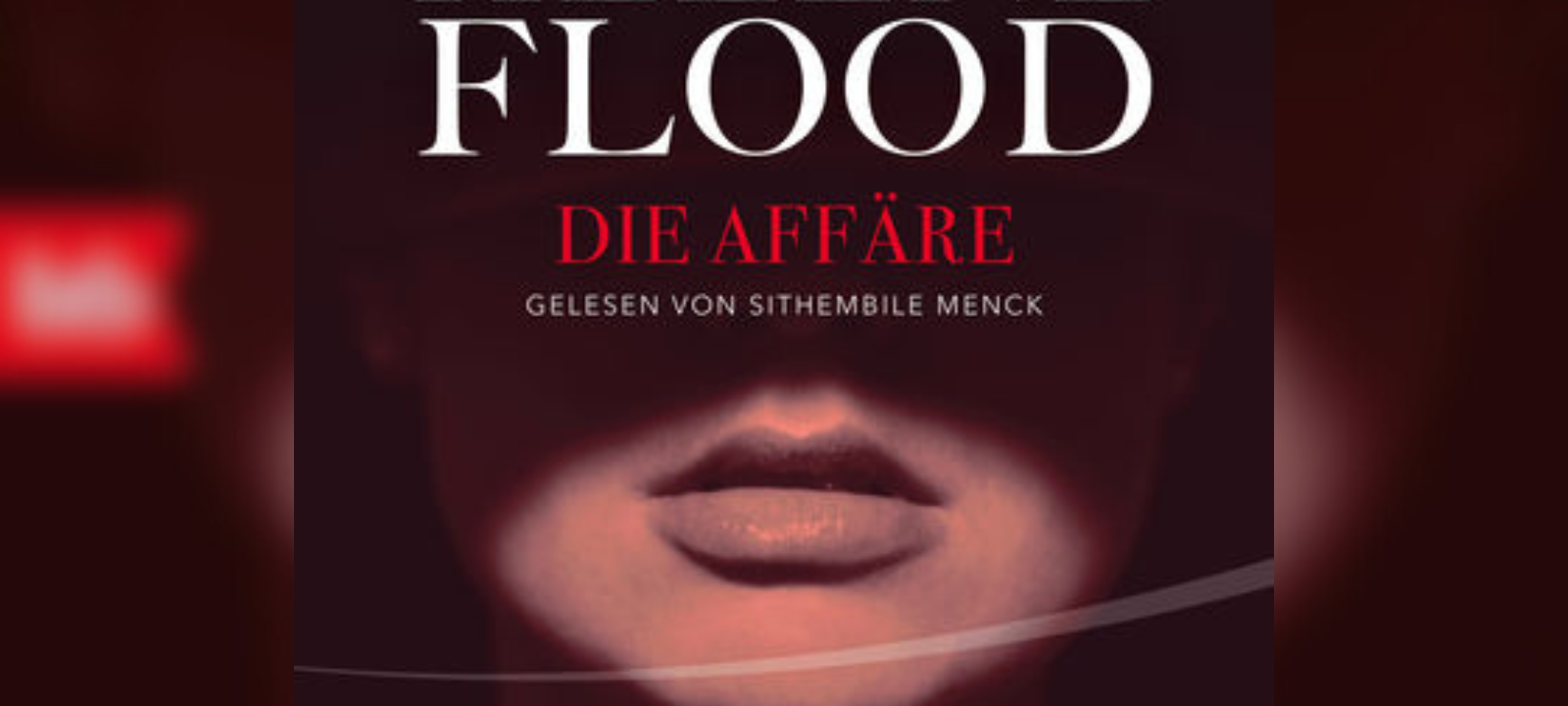 Buchtipp: Die Affäre von Helene Flood