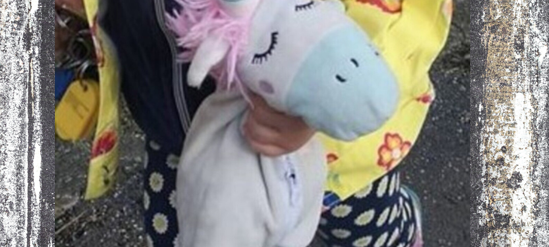 Das Kuscheltier WauWau ist ein Einhorn.