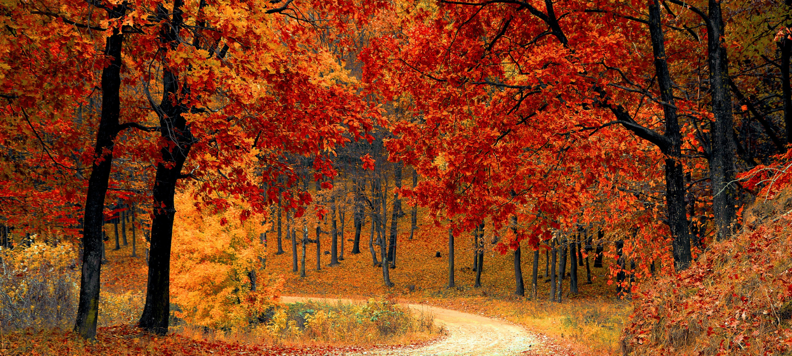 Herbstferien: Die besten Ausflugsziele für die freie Zeit
