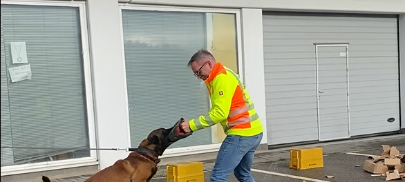 Hundebisse bei Postboten: Deutsche Post schult Zusteller in Lüdenscheid