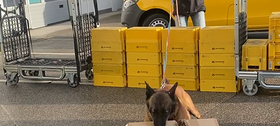 Hundebisse bei Postboten: Deutsche Post schult Zusteller in Lüdenscheid