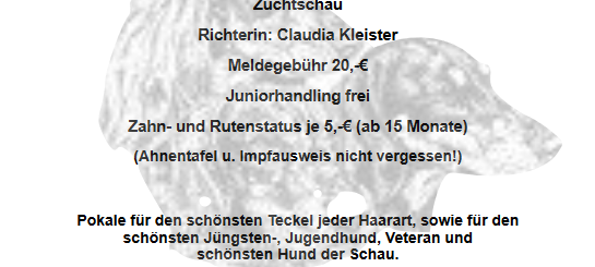 Dackelzuchtschau in Leckingsen