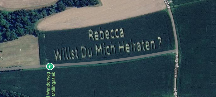 Heiratsantrag mit Maisfeld auf Google Maps