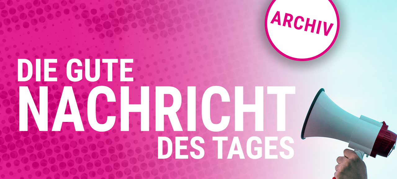 Die gute Nachricht des Tages - Rückblick November