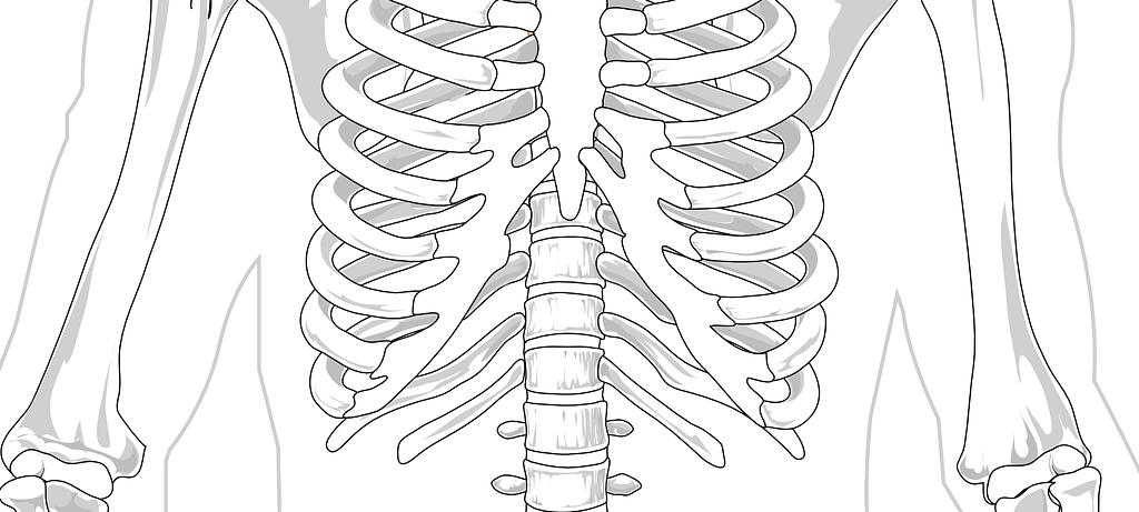 Vortrag zum Thema Kryodenervation bei Verschleiß der kleinen Wirbelgelenke