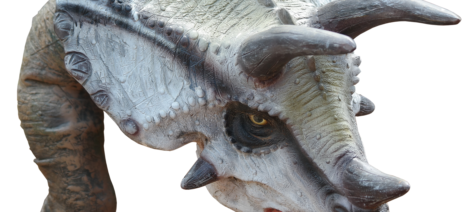 Nils dringend gesucht!